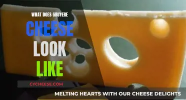 Gruyere Cheese: A Distinctive Look and Taste