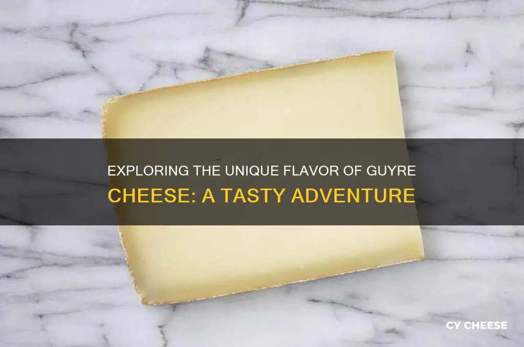 what does guyre cheese taste like