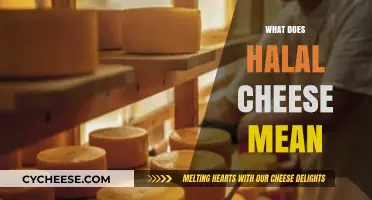 Understanding Halal Cheese: Ingredients, Production, and Certification Explained