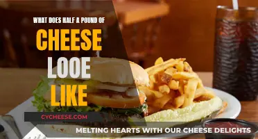 Cheese Portion Guide: Half-Pound Visualized