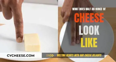 Visualizing Half an Ounce: Cheese Portion Size