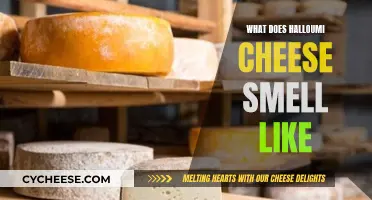 The Unique Aroma of Halloumi Cheese Explained
