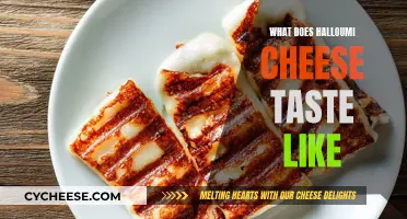 The Unique Taste of Halloumi Cheese
