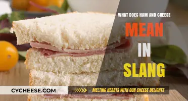 Ham and Cheese Slang: Decoding the Urban Dictionary Meaning