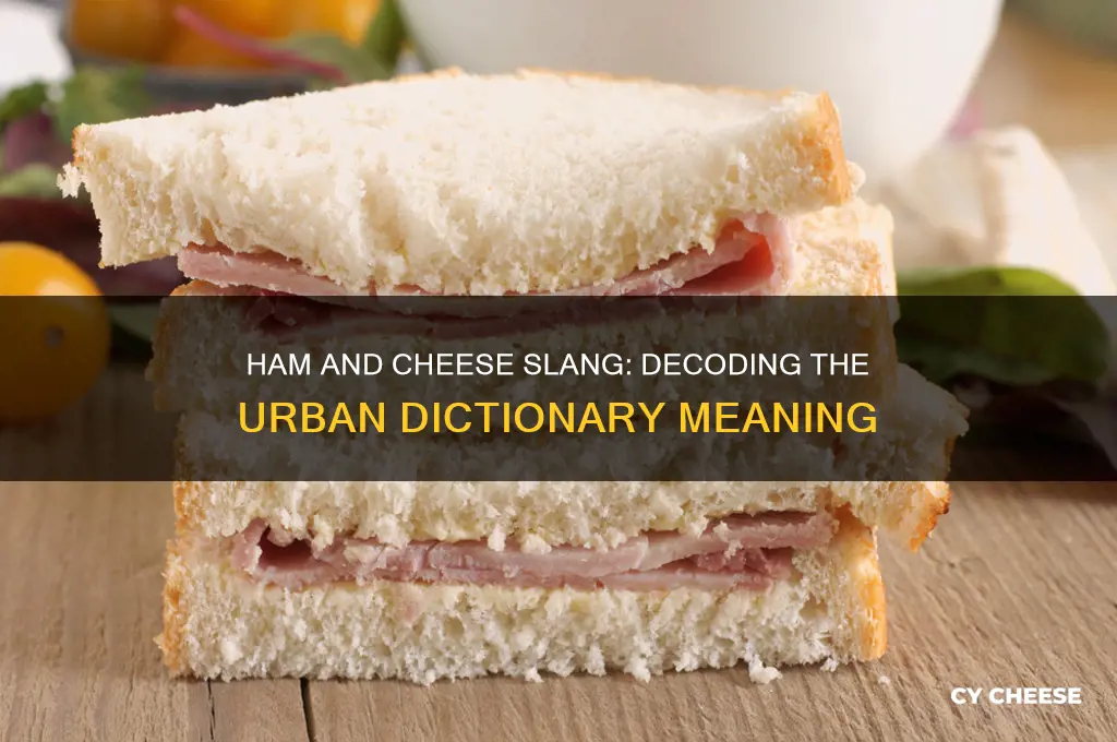 what does ham and cheese mean in slang