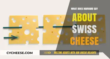 Harvard's Take on Swiss Cheese