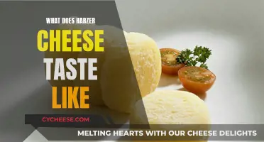 Harzer Cheese: A Flavorful German Adventure