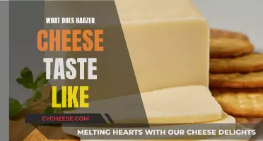 Harzer Cheese: A Strong, Pungent Taste Experience