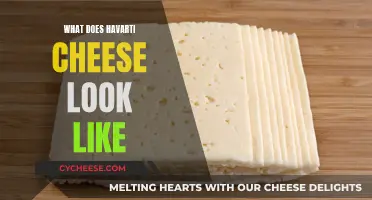 Havarti Cheese: Appearance, Texture, and Color Explained