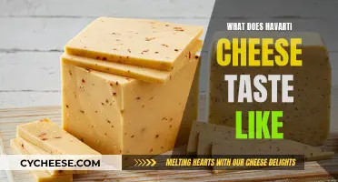 The Taste of Havarti Cheese: A Detailed Review