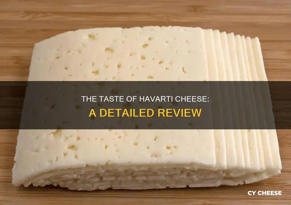 what does havarti cheese taste like