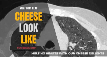 A Beginner's Guide to Head Cheese and Its Appearance