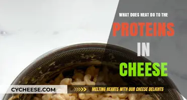 How Heat Transforms Cheese Proteins: Melting, Browning, and Texture Changes