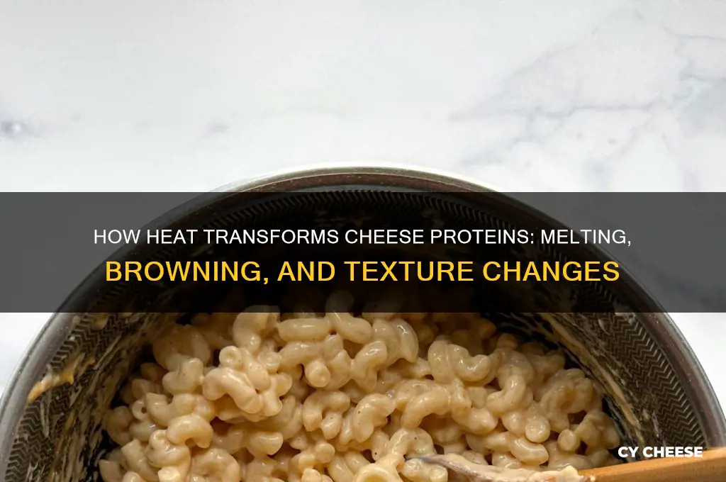 what does heat do to the proteins in cheese
