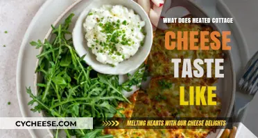 Heated Cottage Cheese: A Surprising Flavor Experience You Must Try
