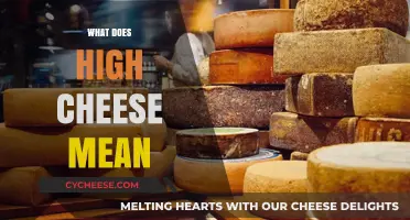 Understanding High Cheese: Meaning, Origins, and Usage in Slang