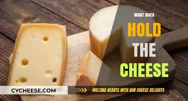 Hold the Cheese: Decoding the Meaning Behind This Popular Phrase
