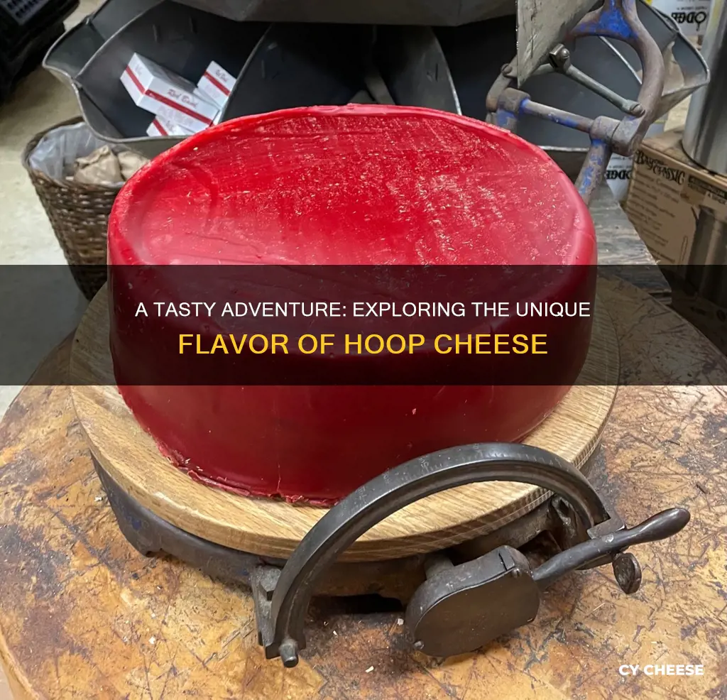 what does hoop cheese taste like