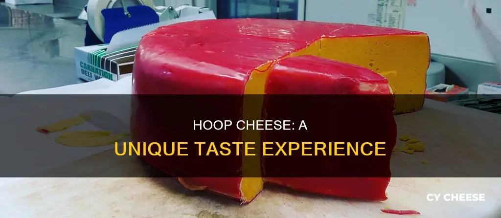 what does hoop cheese taste like