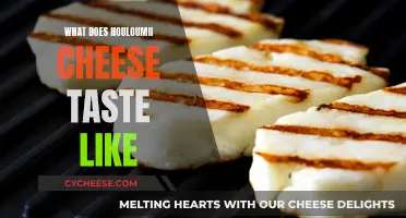 Tasty Houloumi: A Unique Cheese Experience