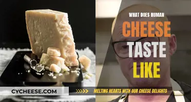 Tasting the Unconventional: A Journey into Human Cheese