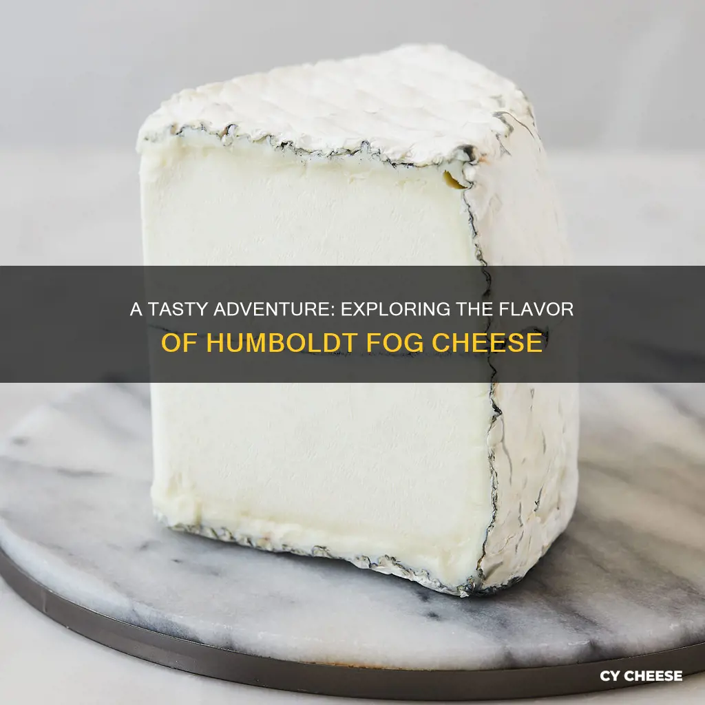 what does humboldt fog cheese taste like