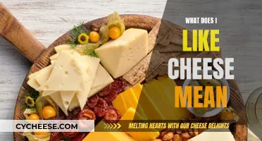 Decoding the Phrase: 'I Like Cheese' - Unraveling the Mystery