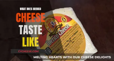 Iberico Cheese: A Flavorful Adventure in Every Bite