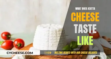 Exploring the Unique Flavor Profile of Ricotta Cheese