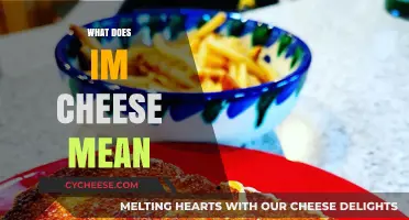 What Does 'I'm Cheese' Mean? Decoding the Viral Phrase
