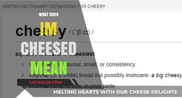 What Does 'I'm Cheesed' Mean? Decoding the Slang Phrase