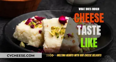 Indian Cheese: A Taste of Culture and Spice