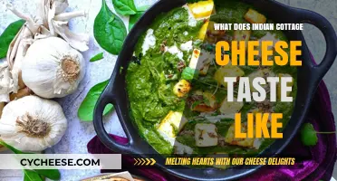 Discovering the Unique Flavor of Indian Cottage Cheese: A Tasty Journey