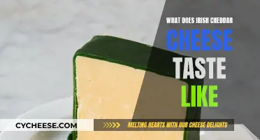 A Guide to the Tasty Irish Cheddar: A Cheesy Adventure