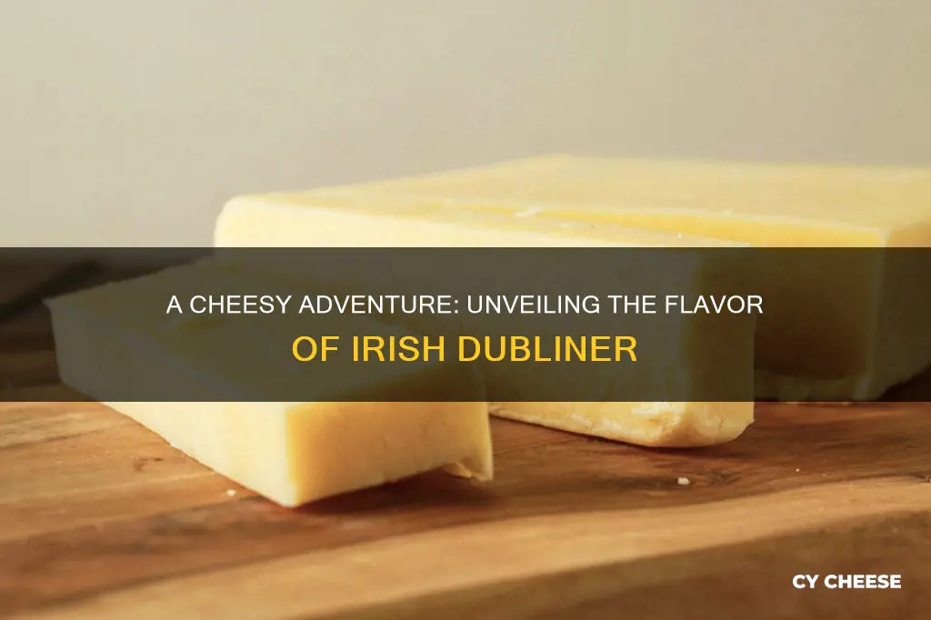 what does irish dubliner cheese taste like