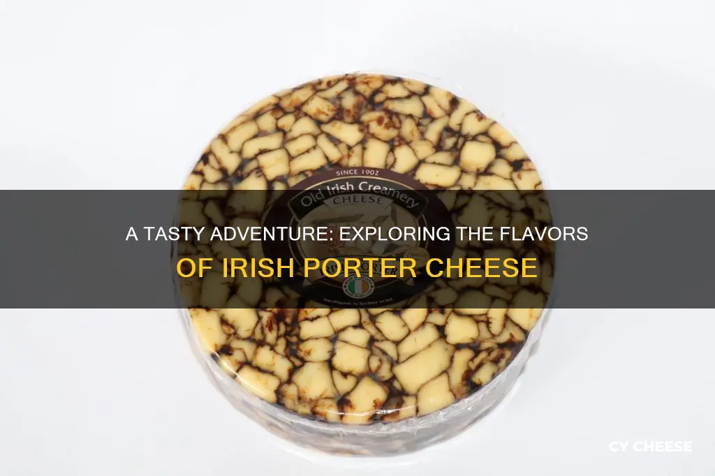 what does irish porter cheese taste like