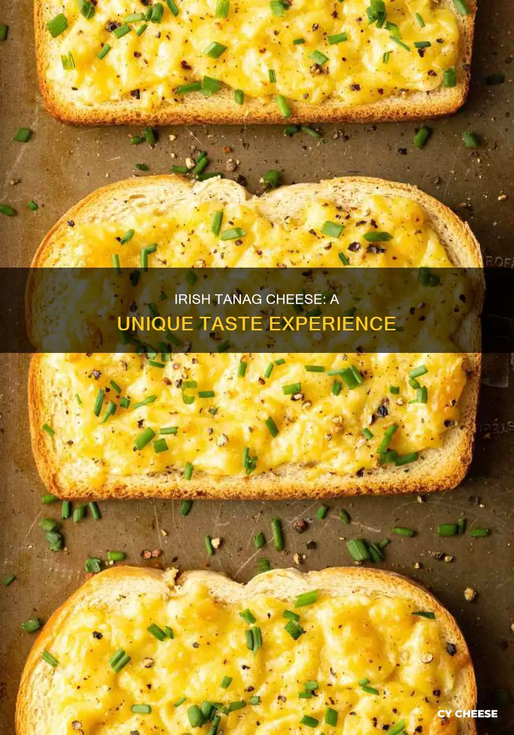 what does irish tanag cheese taste like