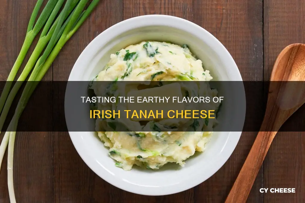 what does irish tanah cheese taste like