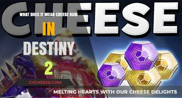Understanding the Cheese Raid Strategy in Destiny 2: A Comprehensive Guide