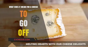 Understanding Cheese Spoilage: Signs, Causes, and When to Toss It