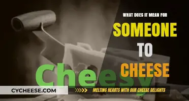 Understanding the Slang: What Does It Mean to Cheese?