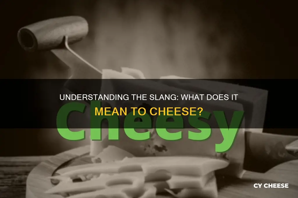 what does it mean for someone to cheese