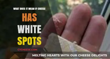 White Spots on Cheese: Mold, Crystals, or Something Else?