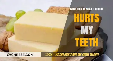 Why Does Cheese Cause Tooth Sensitivity? Understanding the Painful Connection