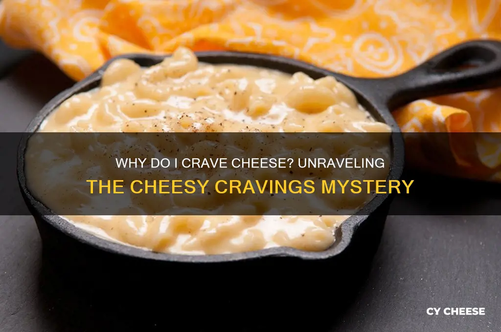 what does it mean if i crave cheese