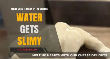 Cheese Water Slime: What Does it Mean?