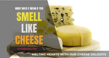 Unraveling the Mystery: Why Do I Smell Like Cheese?