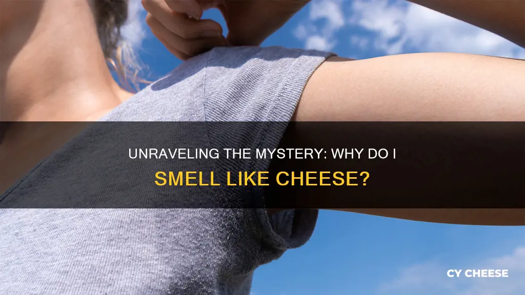 what does it mean if you smell like cheese