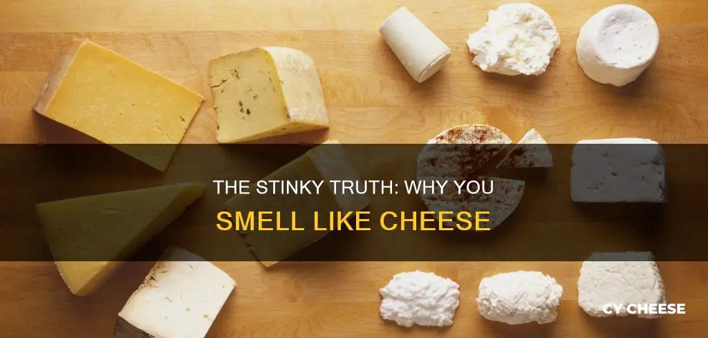 what does it mean if you smell like cheese