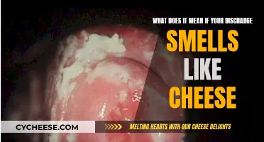 Unraveling the Mystery: When Your Discharge Smells Like Cheese